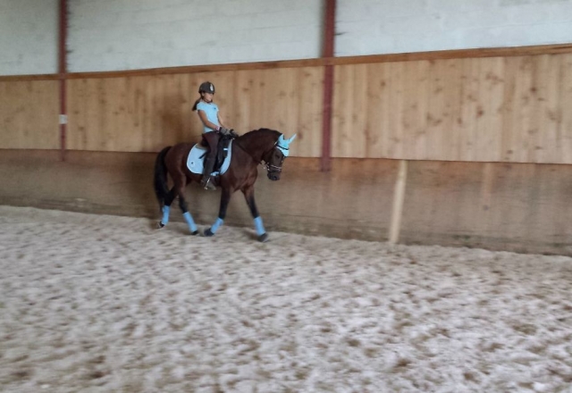  lezione di equitazione 